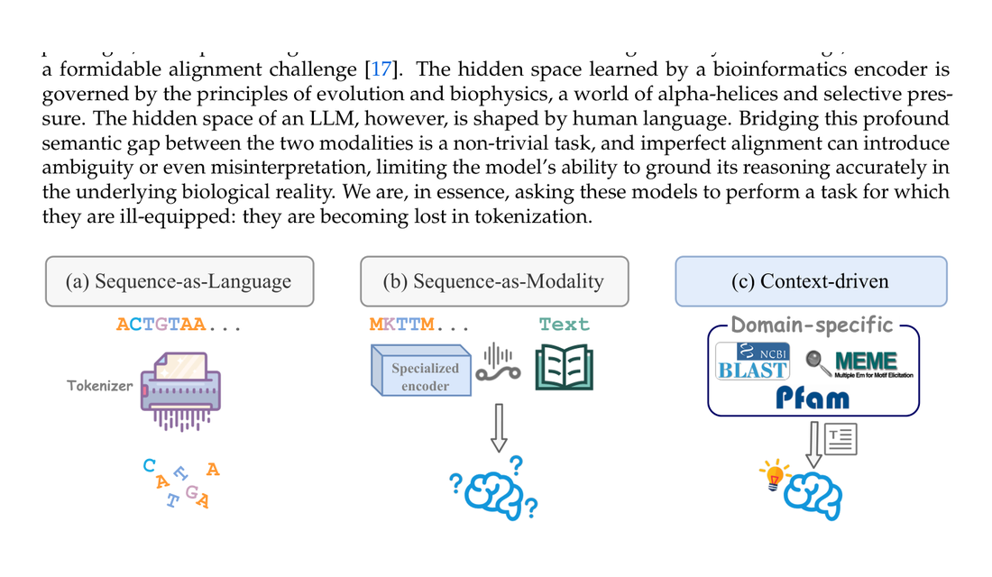 Lost in Tokenization: Context as the Key to Unlocking Biomolecular Understanding in Scientific LLMs Kai Zhuang, Jiawei Z framework figure