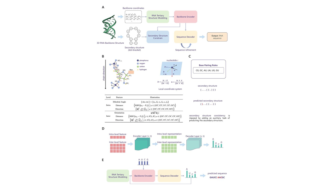 R3Design: deep tertiary structure-based RNA sequence design and beyond Cheng Tan, Yijie Zhang, Zhangyang Gao, Hanqun Cao framework figure