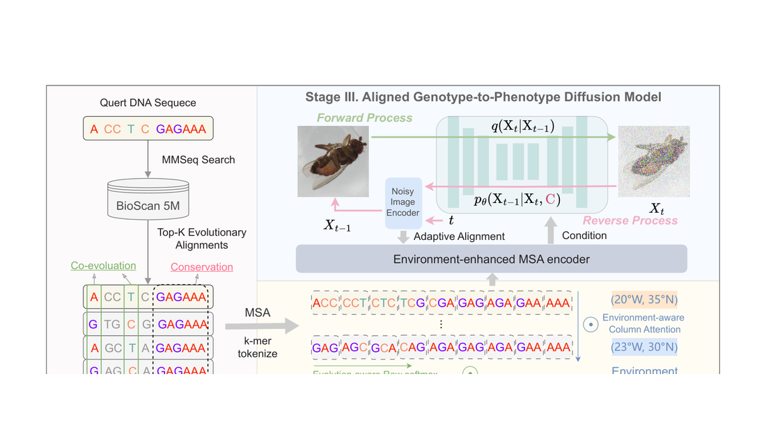 G2PDiffusion: Cross-Species Genotype-to-Phenotype Prediction Via Evolutionary Diffusion Mengdi Liu, Zhangyang Gao, Hong  framework figure