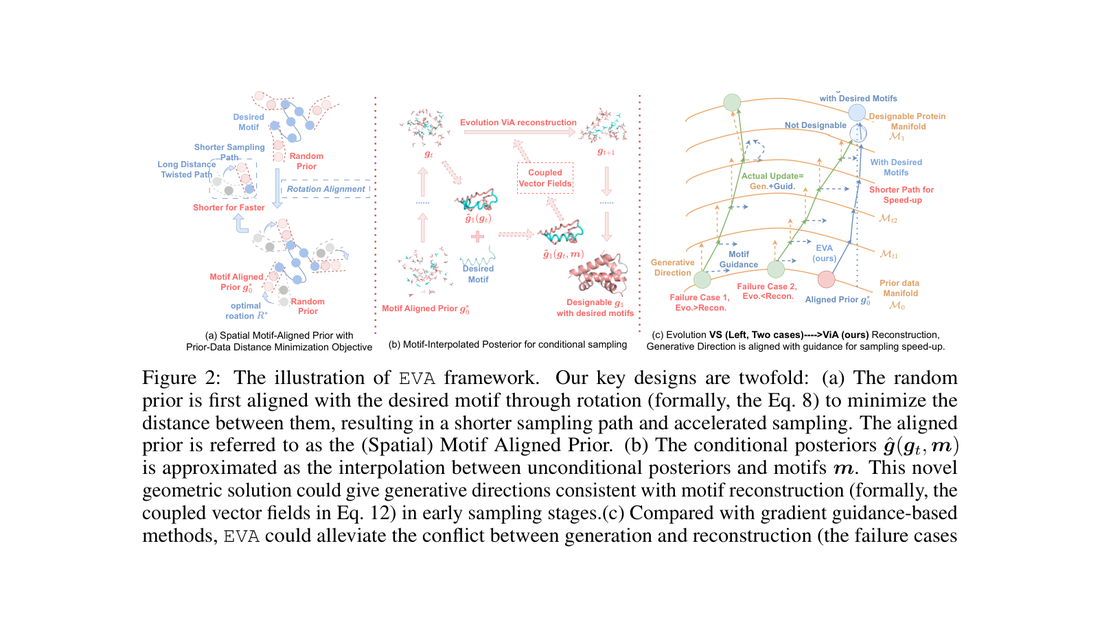 EVA: Geometric Inverse Design for Fast Protein Motif-Scaffolding with Coupled Flow Yufei Huang, Yunshu Liu, Lirong Wu, H framework figure