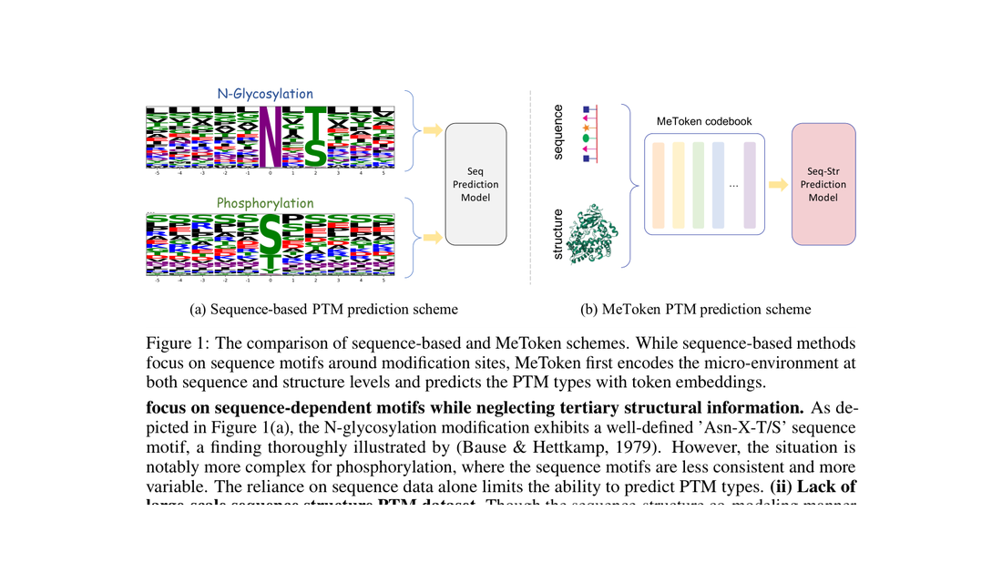 MeToken: Uniform Micro-environment Token Boosts Post-Translational Modification Prediction Cheng Tan, Zhenxiao Cao, Zhan framework figure