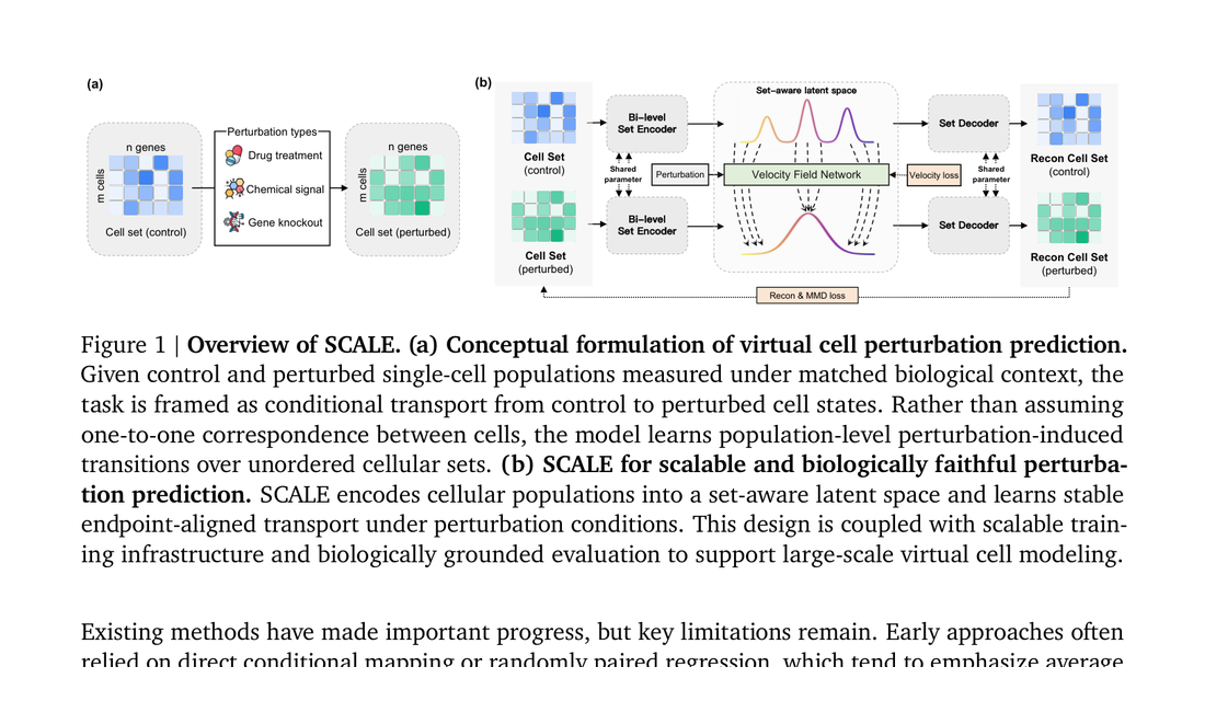 SCALE: Scalable Conditional Atlas-Level Endpoint transport for virtual cell perturbation prediction Shuizhou Chen, Lang  framework figure