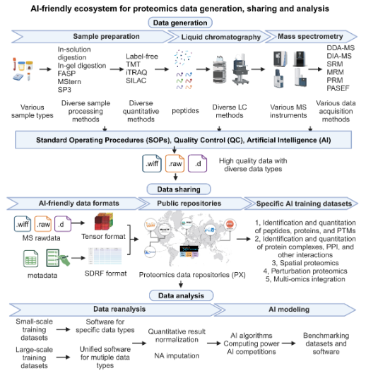 Toward the construction of a virtual yeast framework figure